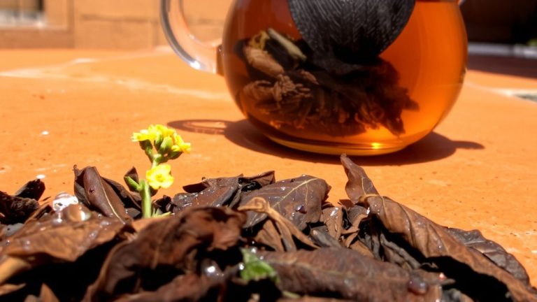 caffeine free polyphenol rich south african rooibos
