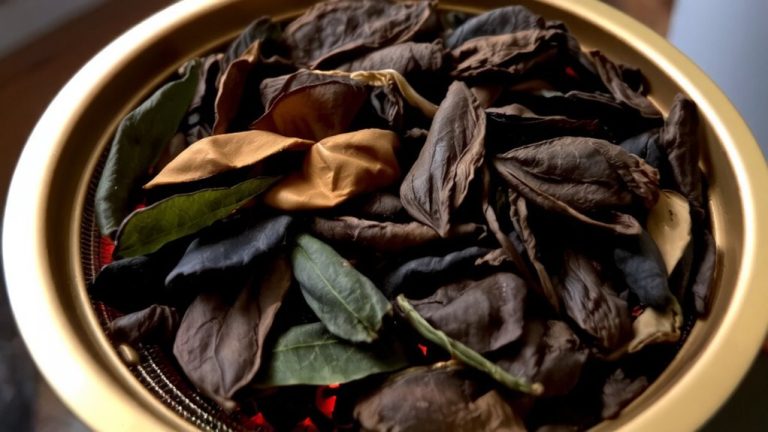 charcoal roasting oolong gently