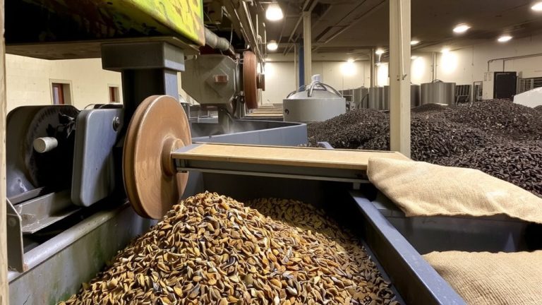 ctc machines dominate indian blends