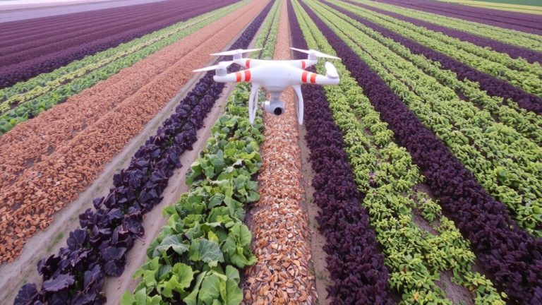 digital twin polyculture optimization