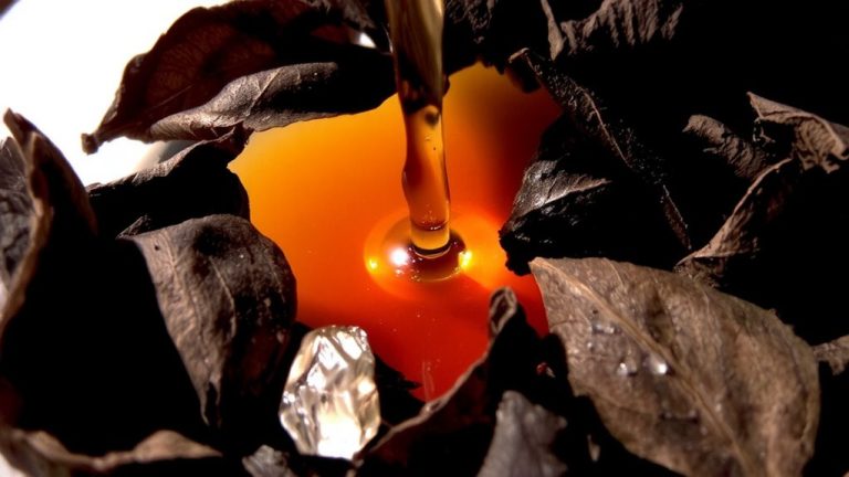 enzymatic oxidation transforms catechins