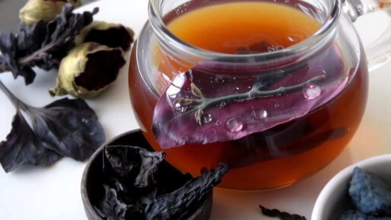 kenyan purple tea antioxidants