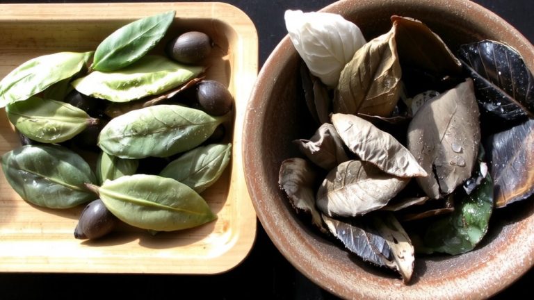 minimal processing retains antioxidants