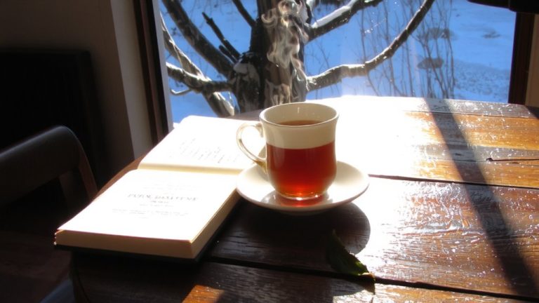 morning or early afternoon
