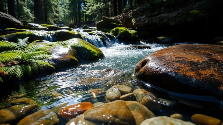 natural spring water taste