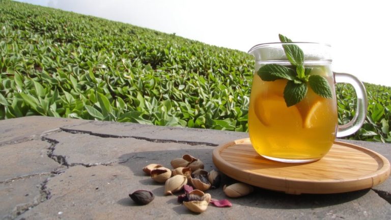 nilgiri tea for iced blends