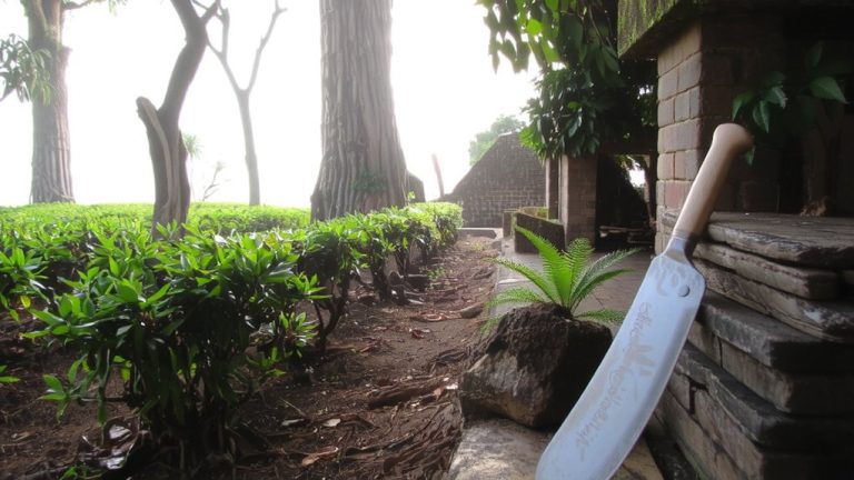 revival of jesuit tea gardens