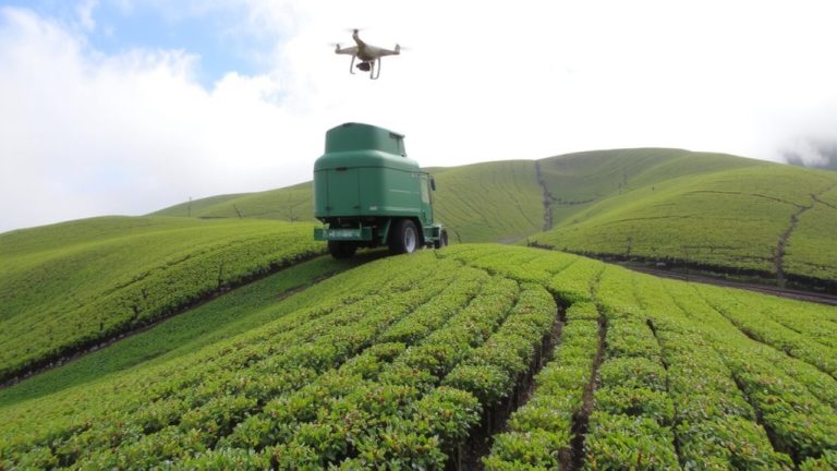 shizuoka s mechanized green tea harvest