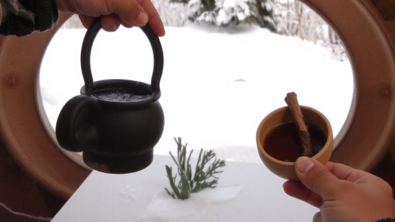 siberian pine needle tea